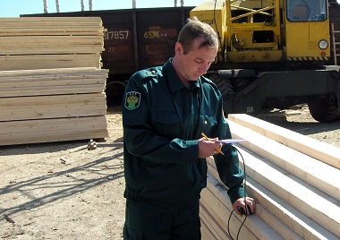 Алтайские регионы увеличили экспорт леса