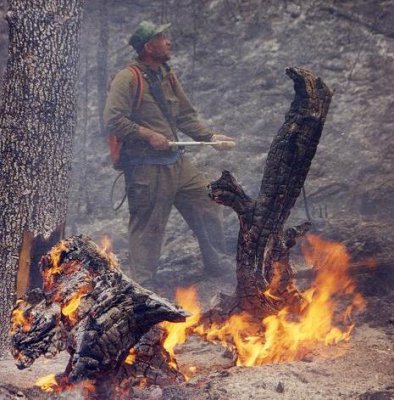 Лесные пожары в Республике Алтай ликвидированы