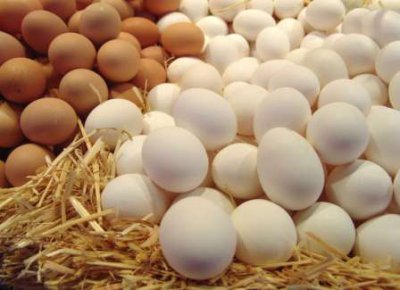 Сельхозпроизводители региона реализовали за год миллион яиц