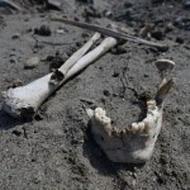 Прокуроры проверили информацию о разрушении курганного могильника Майма-VII