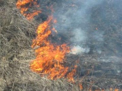 Риск пожаров возрос в Кош-Агачском районе