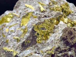 Росгеология ищет на Алтае золото
