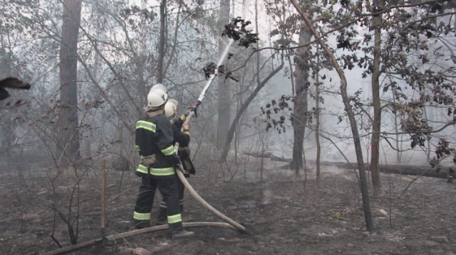 В Республике Алтай завершен пожароопасный сезон