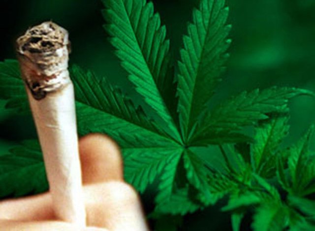 Полицейские изъяли у местного жителя более шести килограммов марихуаны