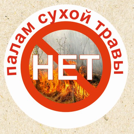 Стартовала Всероссийская информационная кампания против поджогов сухой травы