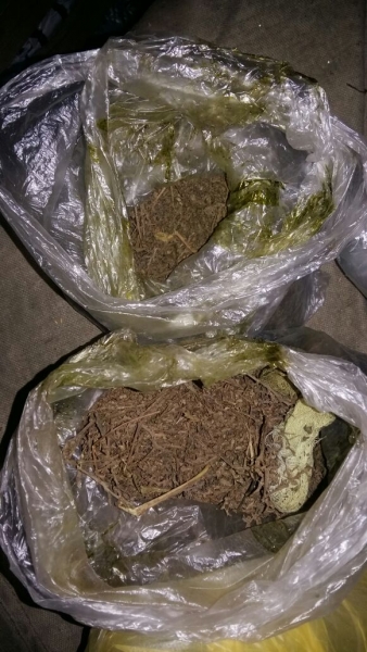 У жителя Майминского района было изъято более 800 граммов марихуаны
