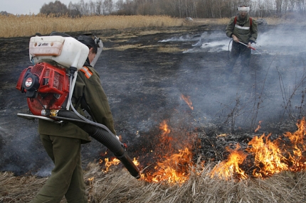 В Республике Алтай ликвидировали первый природный пожар