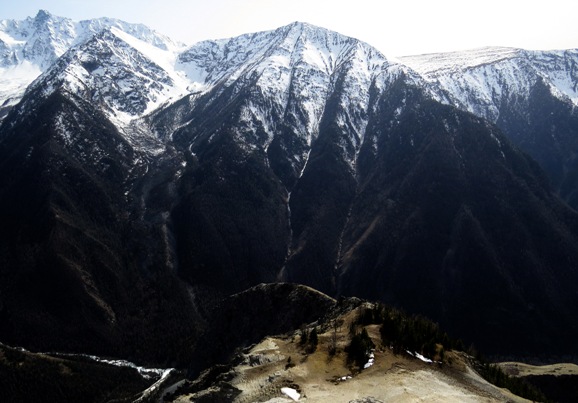 В Республике Алтай некогда полностью утраченная группировка ирбиса в долине реки Аргут восстанавливает численность