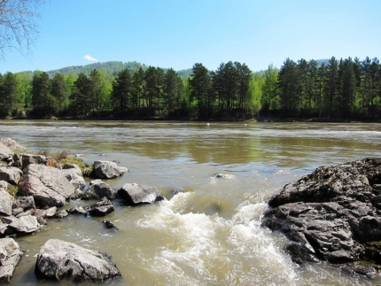 В Республике Алтай наблюдается повышение уровня воды в реках