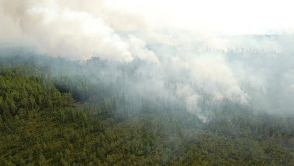 Четыре пожара ликвидируют в Горном Алтае