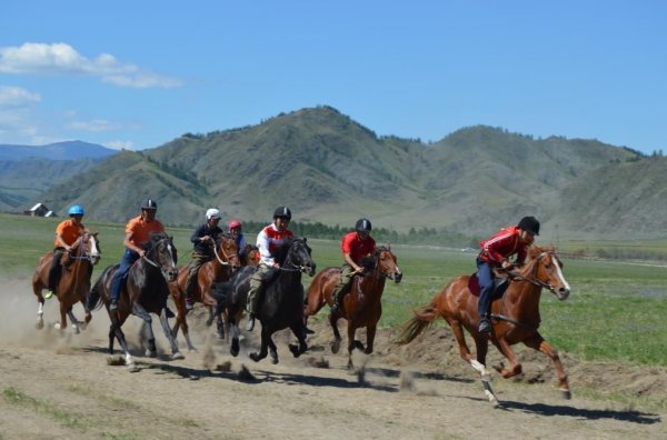 Конноспортивный сезон открыли скачками в Усть-Кане