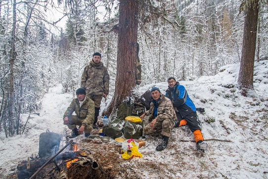 Ученым удалось проследить переход снежного барса из России в Казахстан