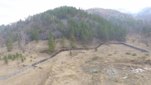 Ликвидирован лесной пожар в Чемальском районе