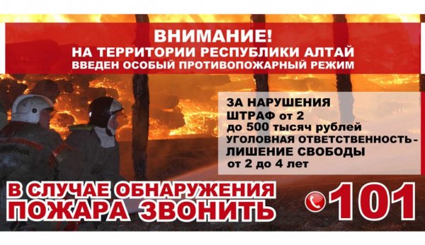 Три лесных пожара ликвидируют в Республике Алтай