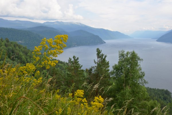 Правительство России приняло решение о выделении средств на реабилитацию Телецкого озера