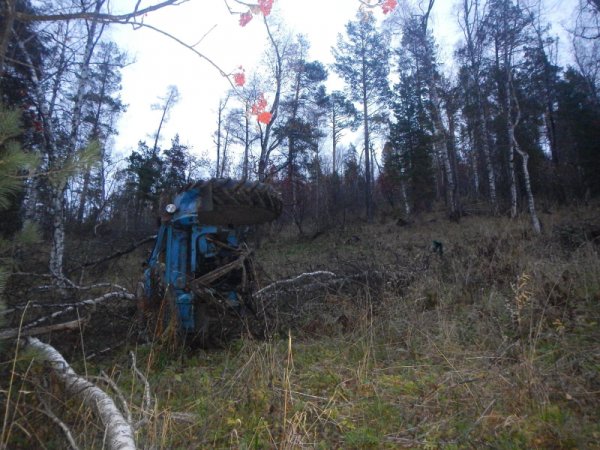 В Майминском районе при заготовке древесины погиб тракторист