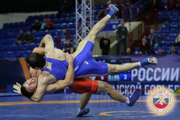 Республиканские спортсмены успешно выступили на Чемпионате России по греко-римской борьбе