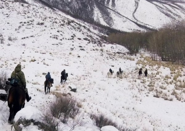 Французские журналисты прошли по следам снежных барсов Горного Алтая