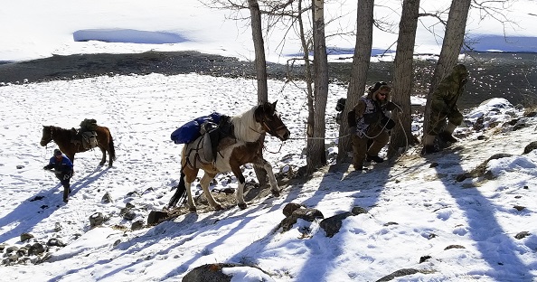 На Алтае в долине реки Аргут завершены учеты снежного барса