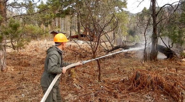 Учения по тушению лесных пожаров провели в Алтайском заповеднике
