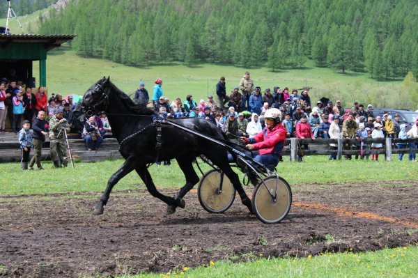 Команда Усть-Канского района победила на соревнованиях по конному спорту в Беш-Озеке