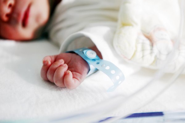 В августе родилось 265 детей в Горном Алтае