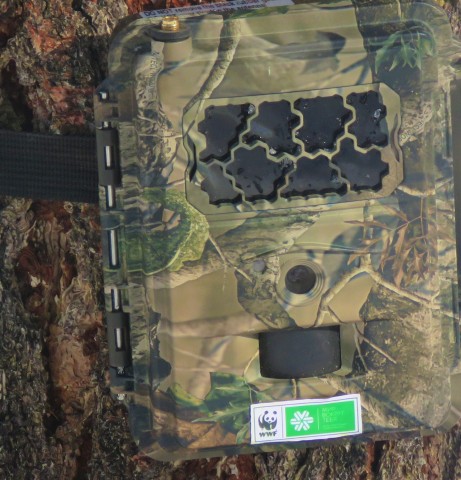 Камеры впервые зафиксировали манула на плато Укок  WWF подводит итоги учета снежного барса в природном парке «Зона покоя Укок» 
