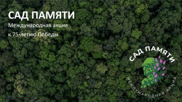 «Сад памяти» высадят в Республике Алтай в честь юбилея Победы