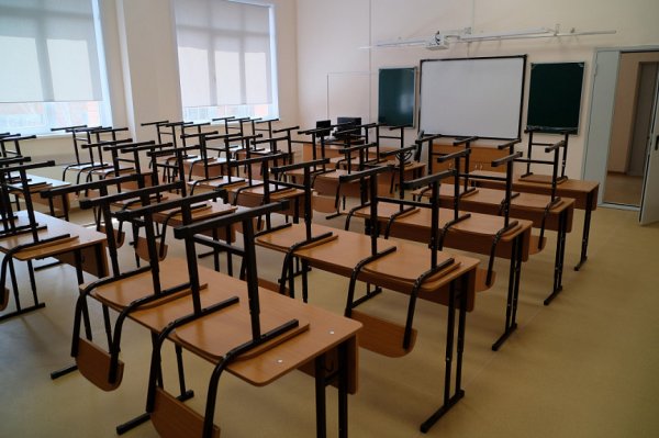 Три школы в Республике Алтай работают дистанционно