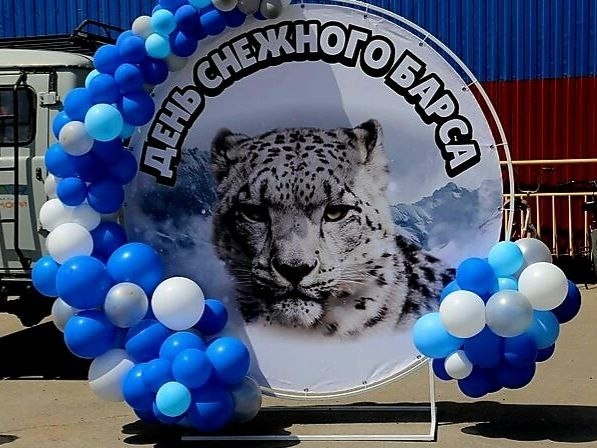 Снежные барсы в Республике Алтай ждут поздравлений
