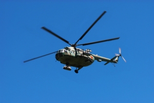 Власти возьмут в лизинг вертолет для охраны лесов