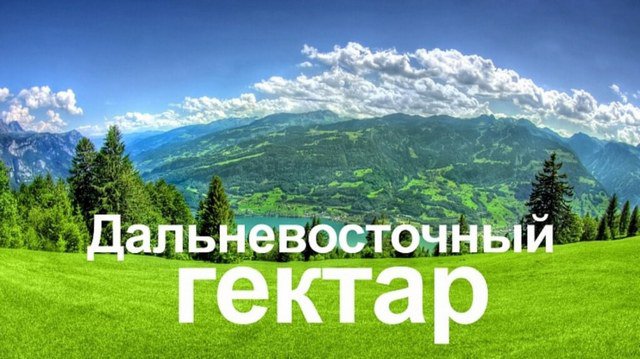 Любой житель Республики Алтай может бесплатно получить гектар земли на Дальнем Востоке