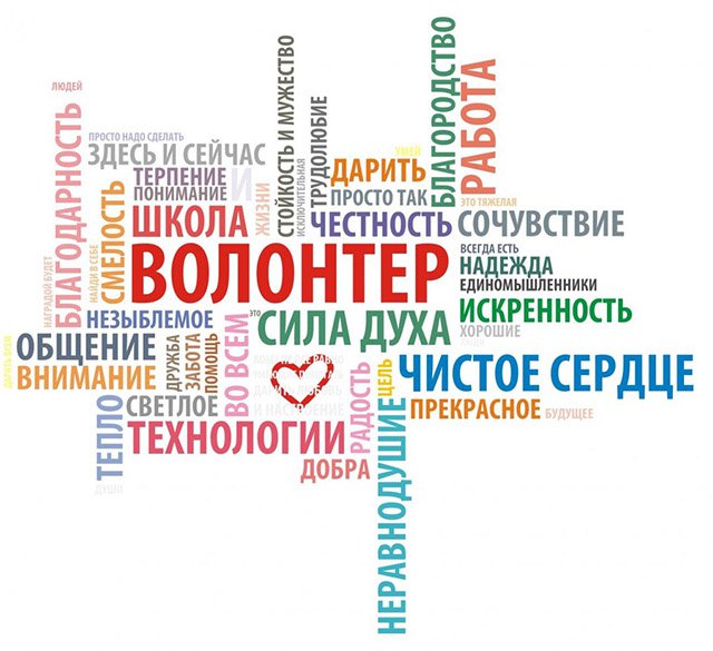 Добровольцы представят Республику Алтай на Всероссийском форуме