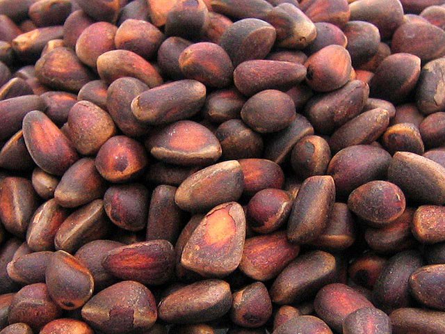 Девять тонн кедрового ореха украли в Майме
