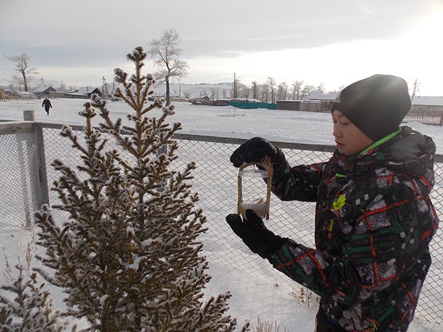 Республика Алтай присоединилась к Всероссийской акции «Покормите птиц зимой!»