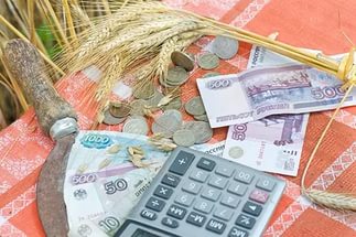 Регионы получат субсидии для агропрома на 10 млрд рублей
