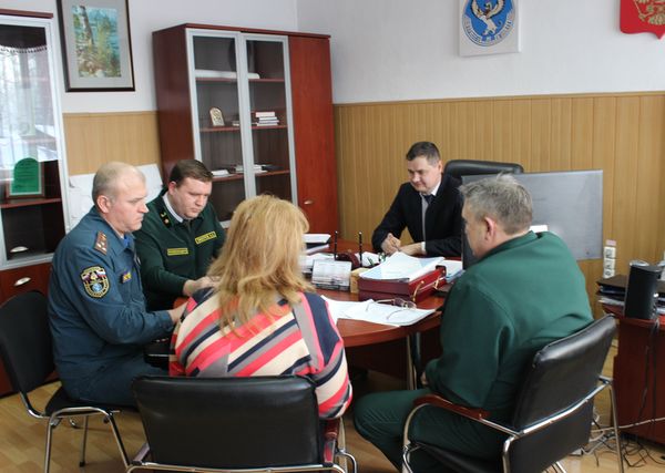 На координационном совете обсудили ликвидацию очагов размножения непарного шелкопряда на территории Республики Алтай