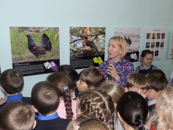 В Усть-Коксе открылась фотовыставка «Птицы Алтая»