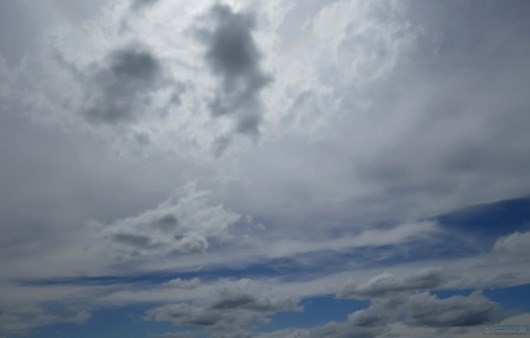 На Алтае  ожидается переменная облачность, без существенных осадков, ветер умеренный