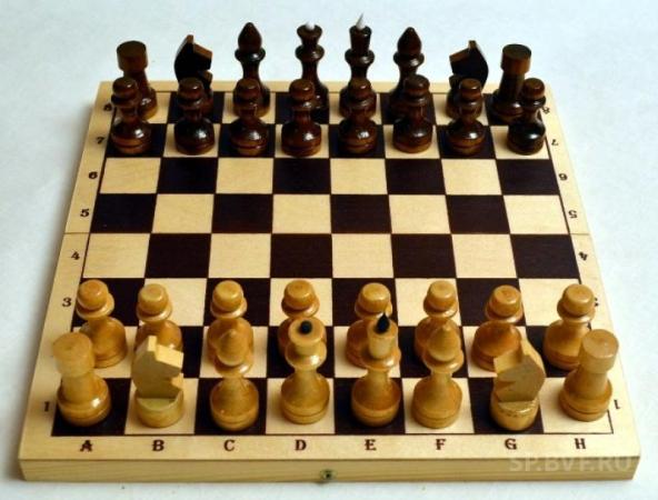 Региональное первенство по шахматам стартовало в Республике Алтай
