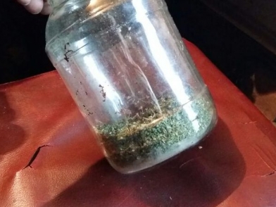 У жителя Майминского района изъято более 400 граммов марихуаны