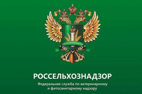 О возврате в Республику Казахстан 40 тонн овощей с недействительными фитосанитарными сертификатами