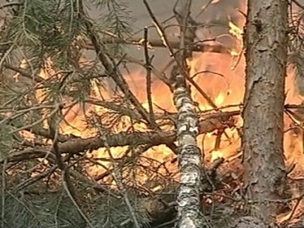 Лесные пожары не угрожают населенным пунктам РА