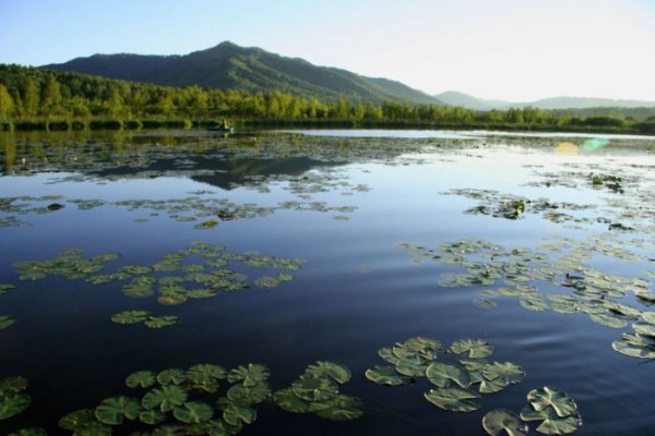 На территории Республики Алтай в Год Экологии начались работы по экологической реабилитации Манжерокского озера