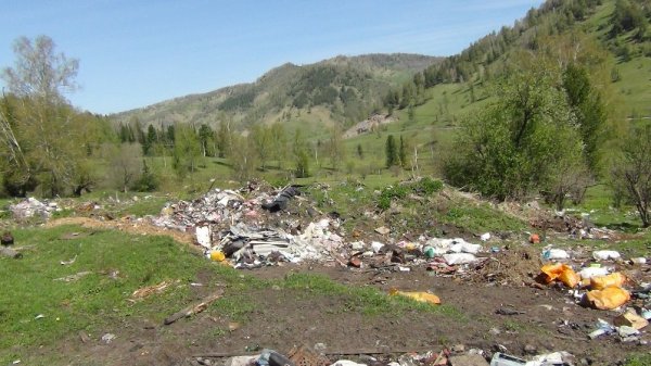 Россельхознадзор выявил в Республике Алтай 26 нарушений земельного законодательства