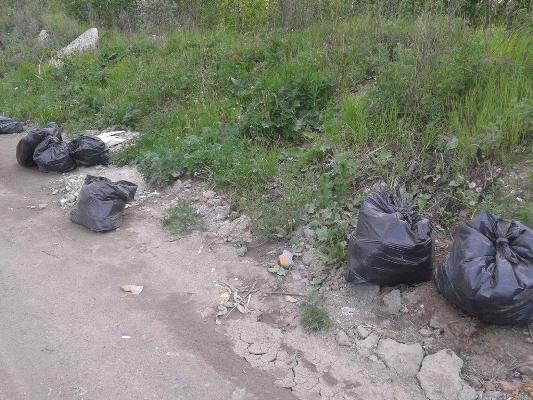 По требованию прокуратуры Чемальского района ликвидирована несанкционированная свалка отходов в районе археологического памятника