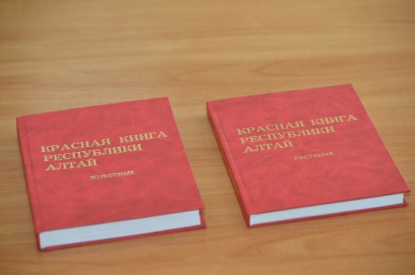 В Красную книгу региона рекомендовано включить восемь объектов животного мира