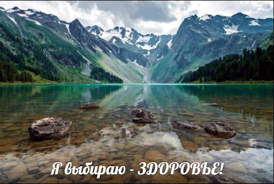 Министерство здравоохранения Республики Алтай запустило портал о здоровье для жителей региона