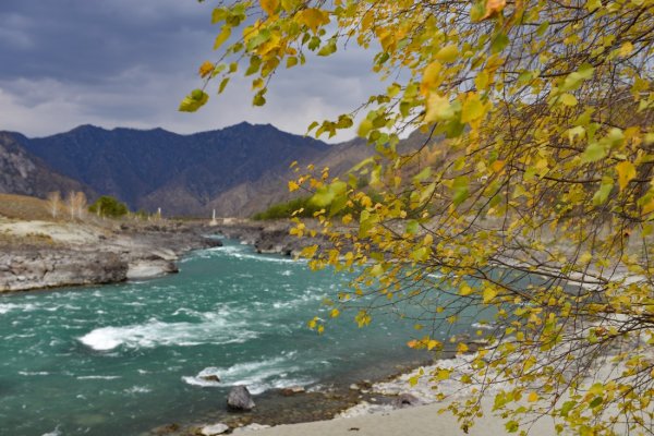 Ученые признали Катунь самой прозрачной рекой Сибири