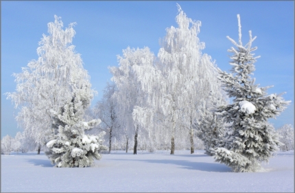 В Республике Алтай ожидаются морозы!